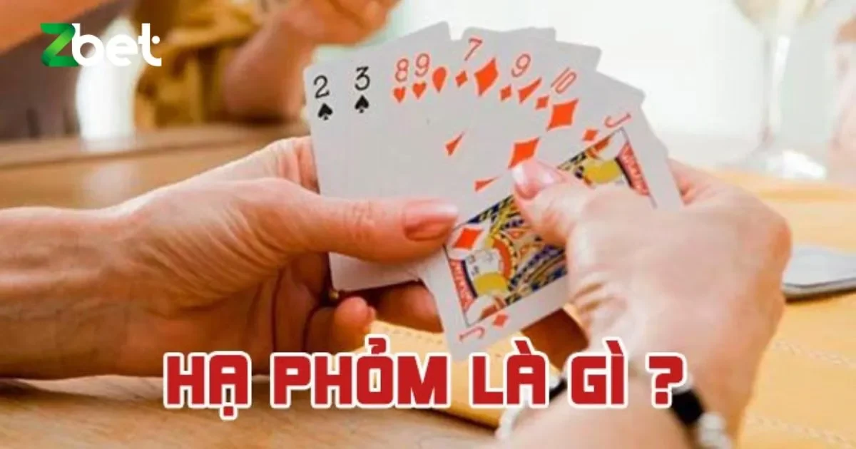 Hạ phỏm là gì? Các thuật ngữ trong hạ phỏm 1 Hạ phỏm là gì?